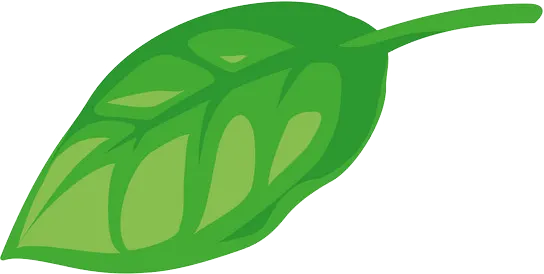 Gracie's Table Basil Leaf